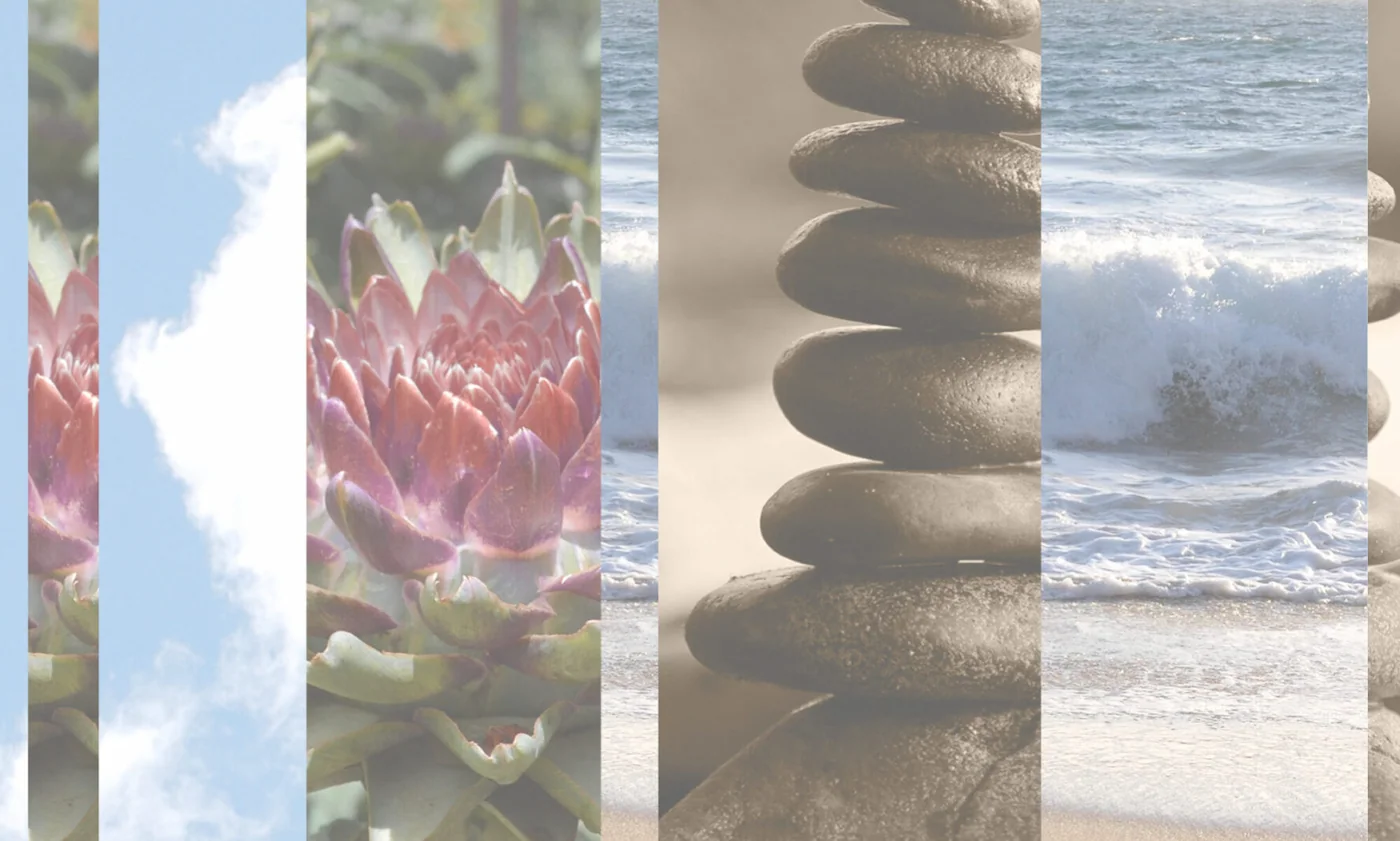 photo montage background of flowers, waves and stones